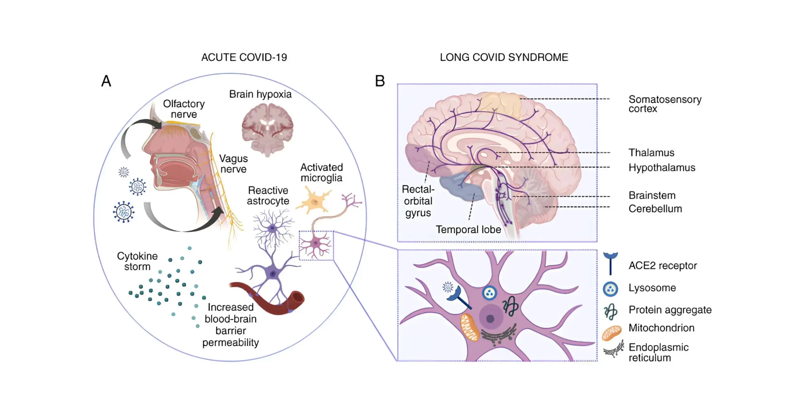 Untitled_design_1_d4188c7a75
